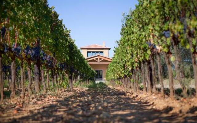 Agriturismo Tra Gli Ulivi