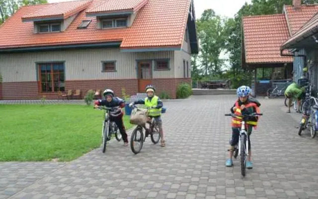 Pakalnės vingis