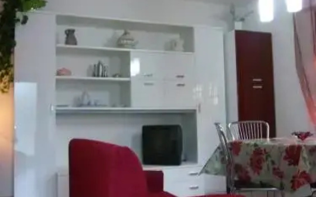 Casa Petunia