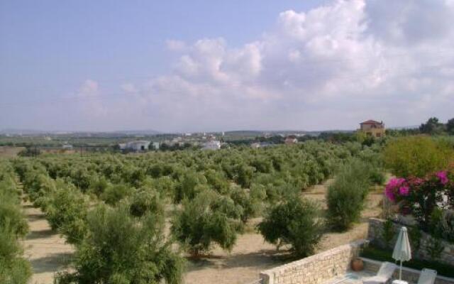 Villa Nelia