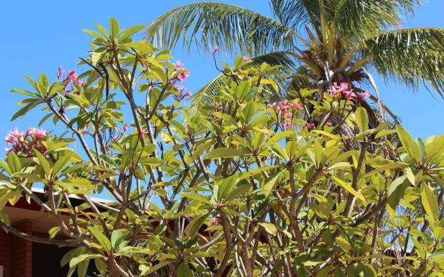 King Sound Resort Hotel