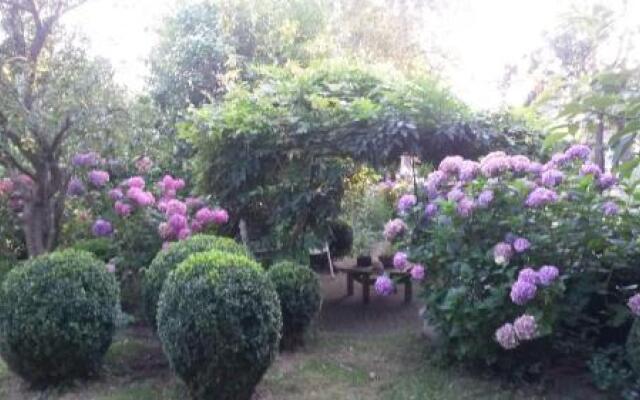 B & B het groene hart