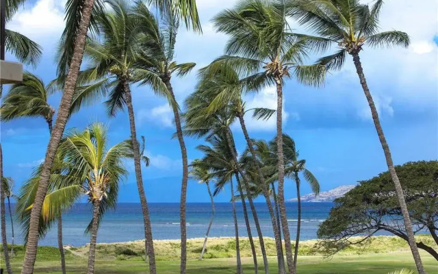 Kauhale Makai 331 - 1 Br Condo