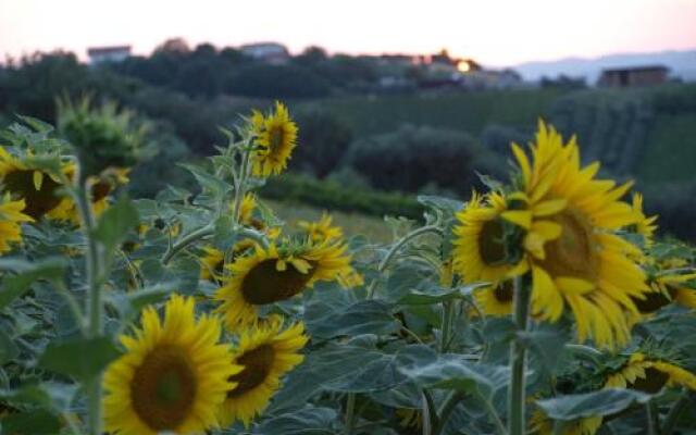 Fattoria Riomoro