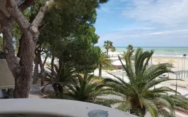 Pini sul Mare