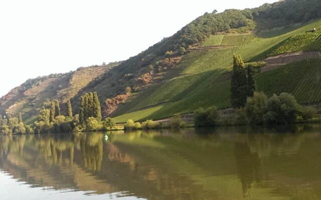 Weingut & Gästehaus Bernhard Eifel