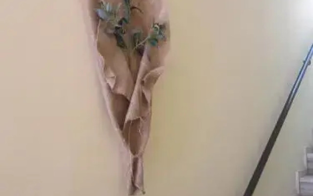 Victor 2