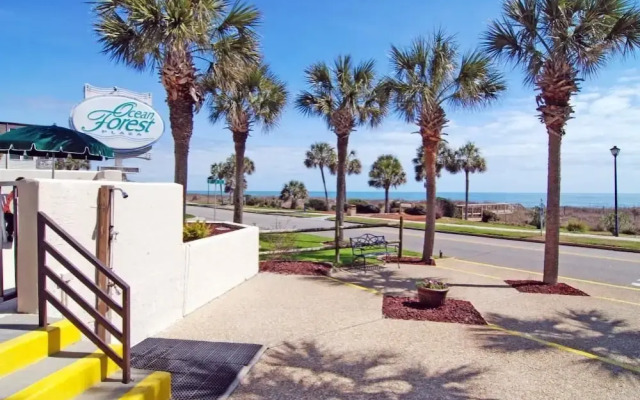 Ocean Forest 1909 - Ocean Front