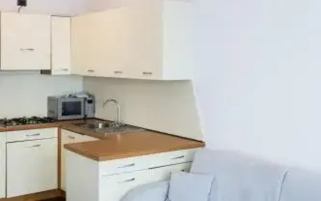 Attico Con Terrazzo Piantumato