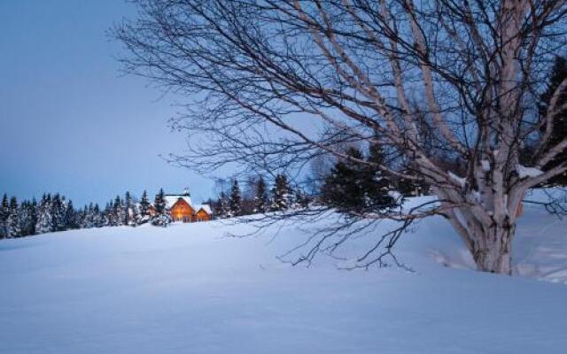 Grand Chalet en Bois Rond