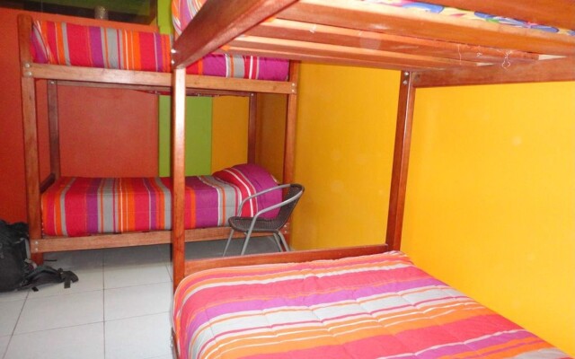 Iguana Hostel