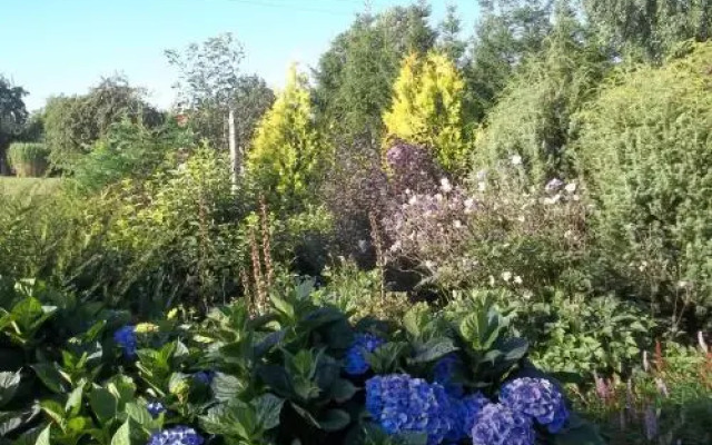 Zakątek Pod Gruszą