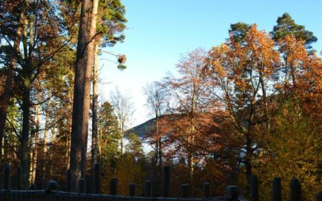 Domaine Hauts De Ribeauville