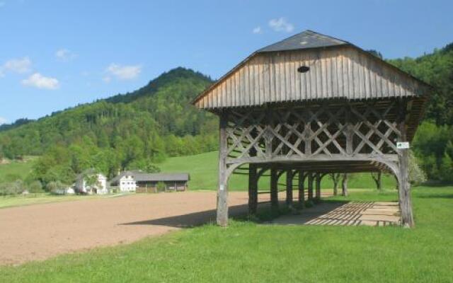 Cvetje V Jeseni