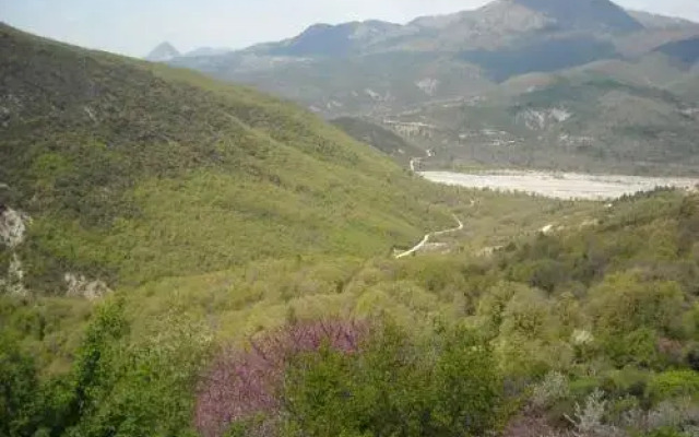 Epavli Antonis