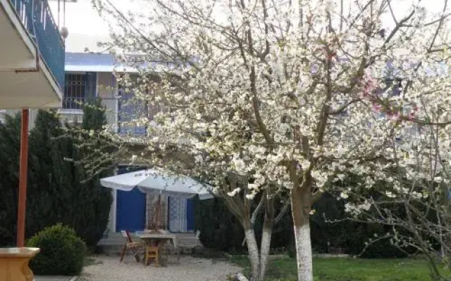 Pensiunea Tourist Paradis