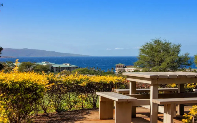 Wailea Ekolu #503