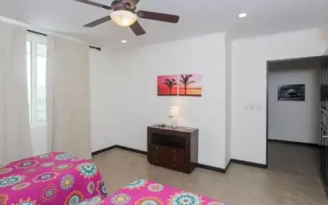 The Palms 703