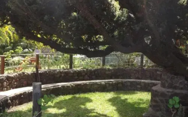 B&B Il Giardino Dacri