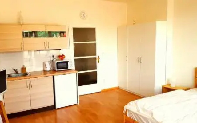 Penthouse Sokolovská