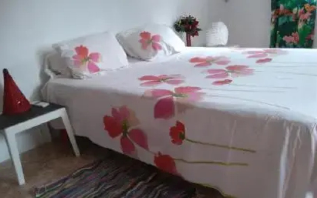 Violette Home