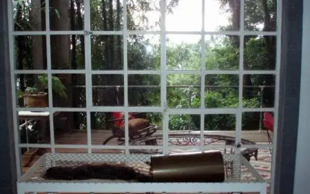 Bed & Breakfast Vitoria Regia