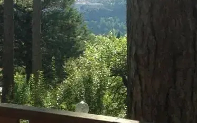 Camping Pineta