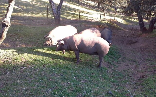 Casa Rural Riscos Altos