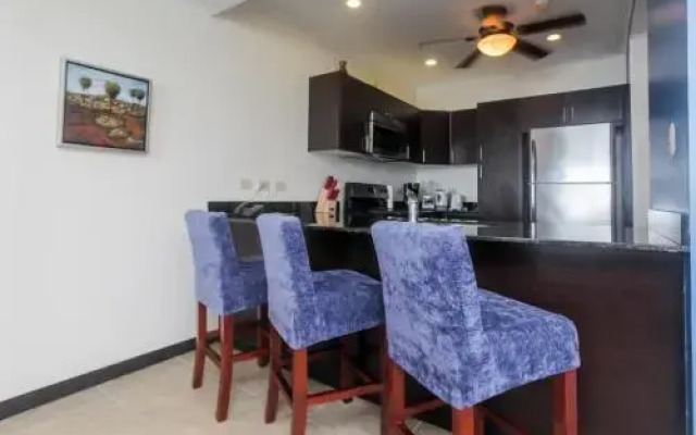 The Palms 703