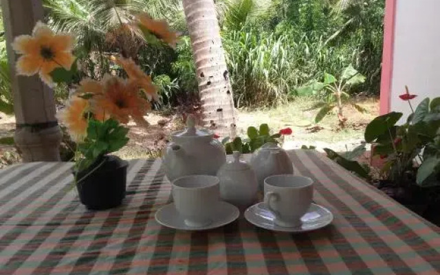 Sigiri Picaso Home Stay