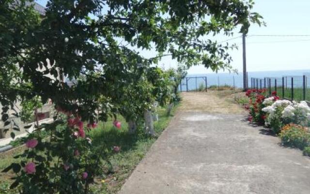 Pensiunea Sapte Pini
