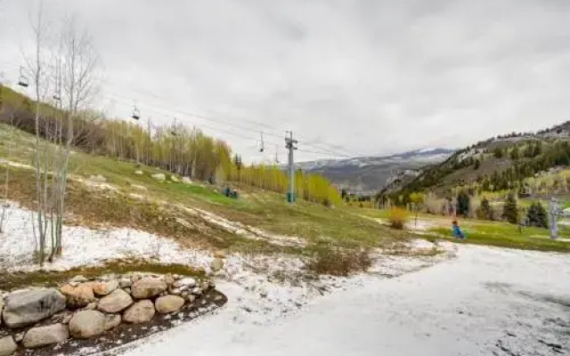 Beaver Creek Borders 203U