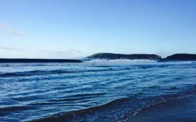 Pladda in Plett
