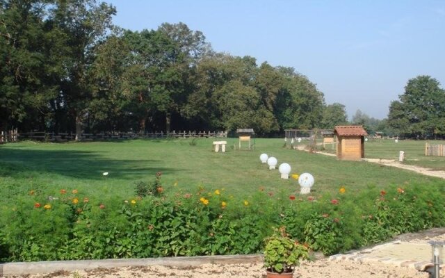 Domaine des Brouilles