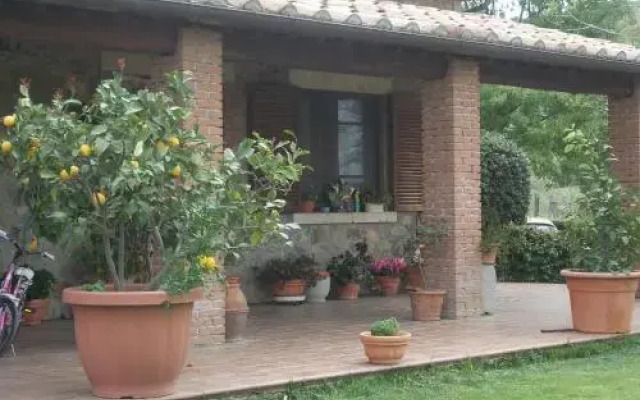 Agriturismo La Valle degli Ulivi