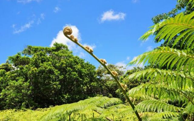 immanuel surf hostel