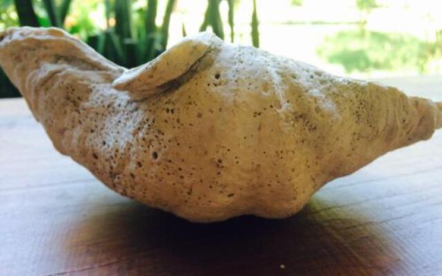 Gili Spoy - Spoy Homestay