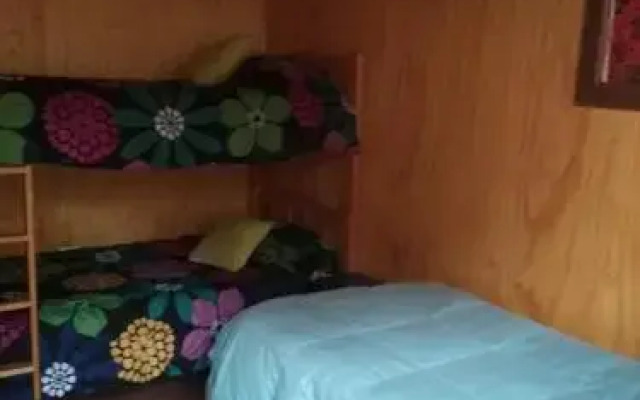 Hostal Cactus