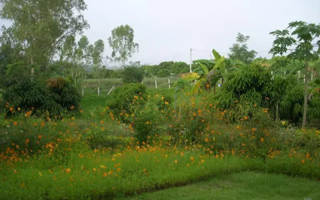 Baan Suan Phuchareef