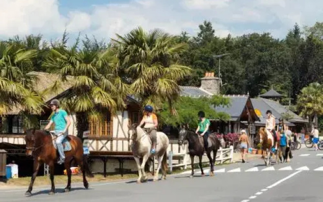 Safari Tent Holidays