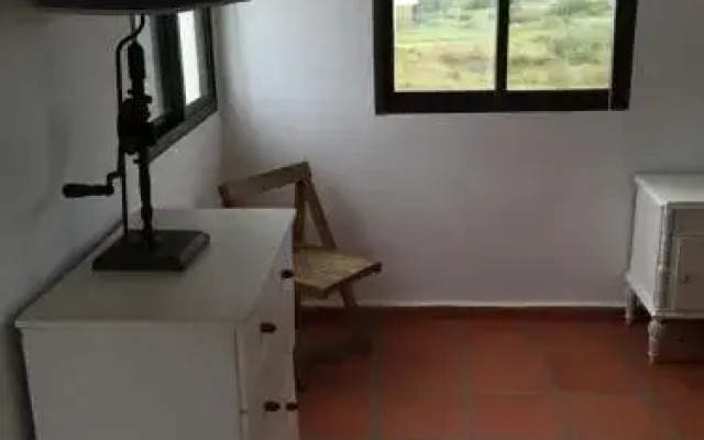 Palalo