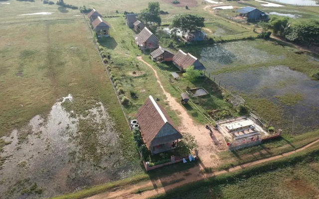 Real Home Stay