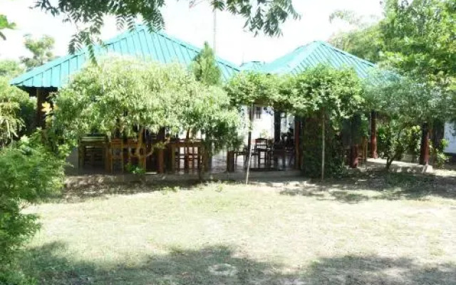 nilaveli palm house