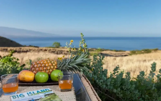 Hale Kohola by RedAwning