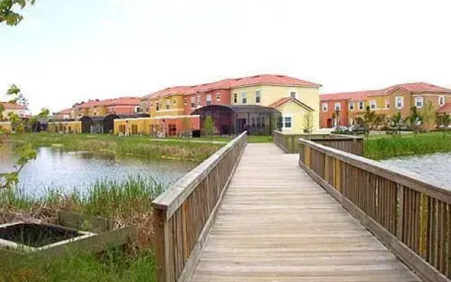 Terra Verde by Contempo