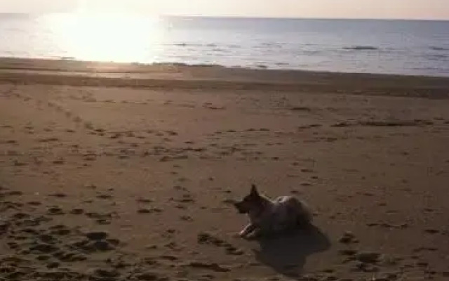 Residence Villa Hedy