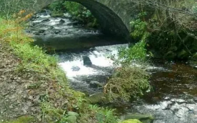 Rockfield House B&B