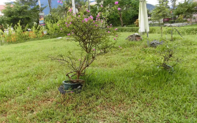 Shiang Ching Home Stay