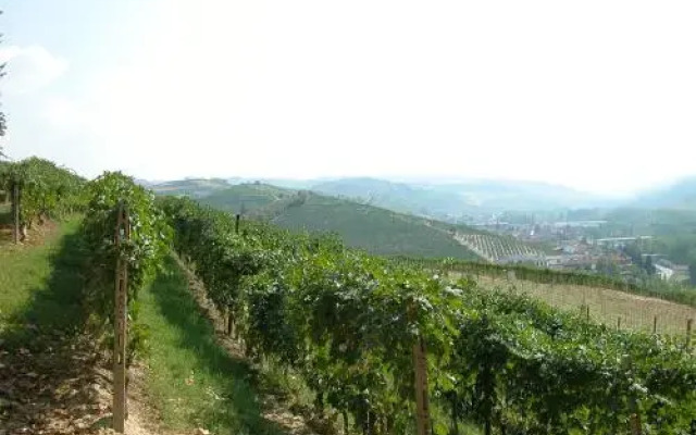 Agrituristica La Briccola