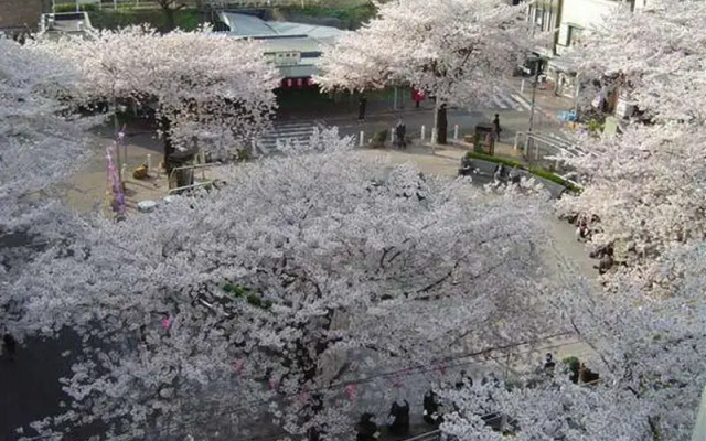 Hotel Bougainvillea Itabashi